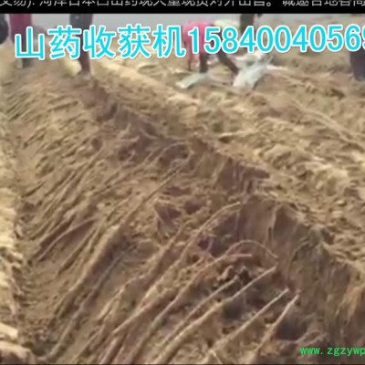 富士JC500河北山药机，山药开沟机，河北山药收获机