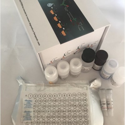 双赢生物 elisa试剂盒 人补体因子D（CFD）elisa试剂盒厂家订做