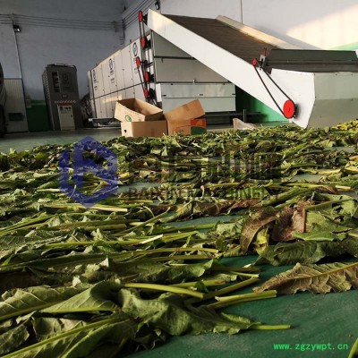 百信中药材烘干机    中药材脱水设备  网带式中药材烘干机 烘干机厂家价格