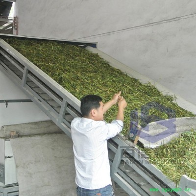 河南百信中药材烘干机  网带式中药材烘干机     大型烘干机厂家价格
