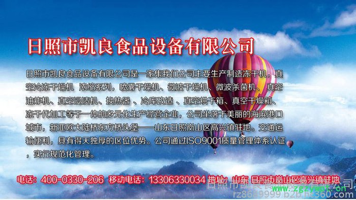 凯良KL系列 真空冷冻干燥机  粮食干燥机果蔬  药材水产品干燥加工