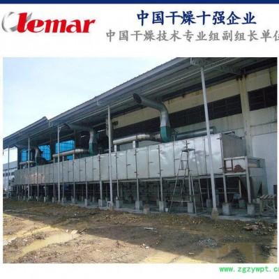 中药丸水蜜丸专用带式干燥机、中药厂多级带式烘干机 DW3-2