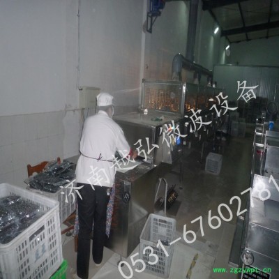 药材微波烘干设备