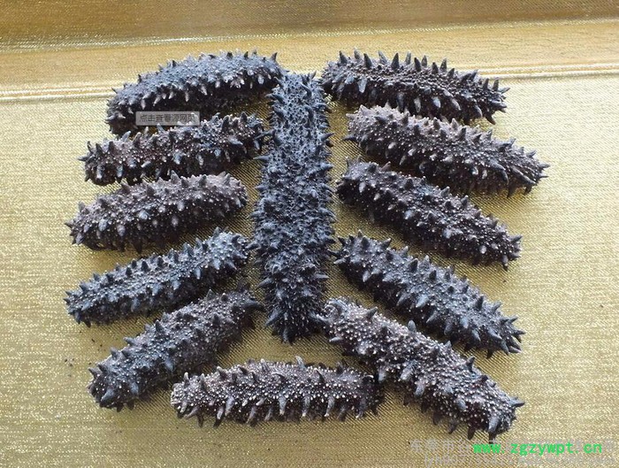 海参烘干机中药材烘干机、箱式干燥设备、适用药材，食品水果等