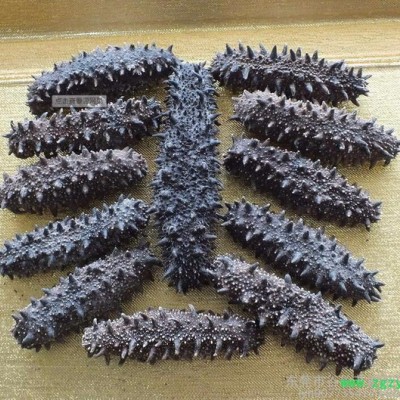 海参烘干机中药材烘干机、箱式干燥设备、适用药材，食品水果等