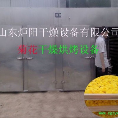 Jy-300菊花烘干机 烘干设备  玫瑰花等 各种药材