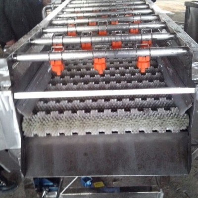 鹏启气泡清洗机 当归清洗机 药材清洗设备 气泡翻浪清洗机 中草药清洗设备 **