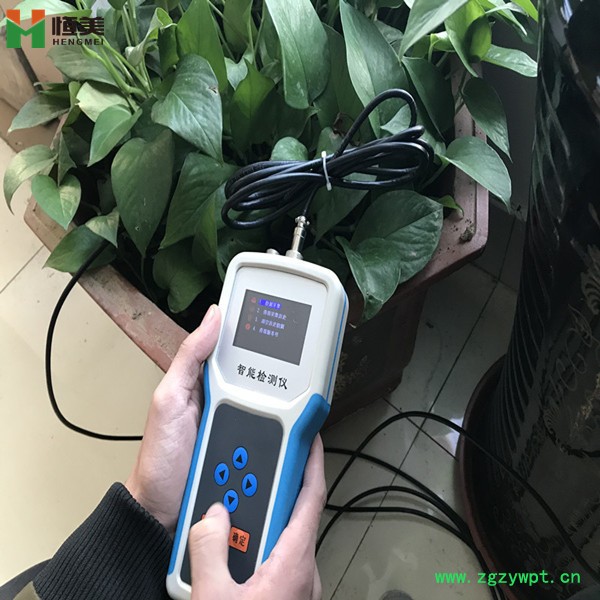 恒美HM-SW土壤水分温度记录仪 恒美HM-SW土壤水分温度记录仪