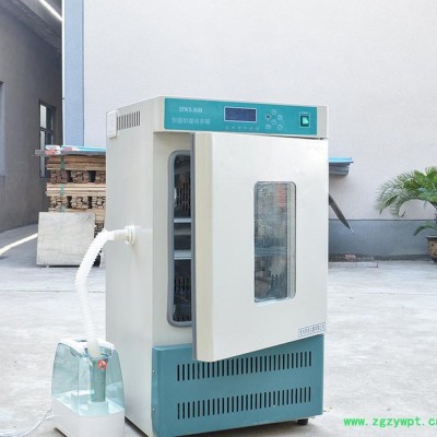 SXP-70生化培养箱 BOD 细菌 微生物 低温培养箱