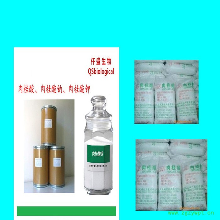 仟盛食品级 肉桂酸钾防腐剂 粉末状酱腌菜防腐剂生产厂家 仟盛食品级 肉桂酸钾防腐剂 粉末状酱腌菜防腐剂生产厂家