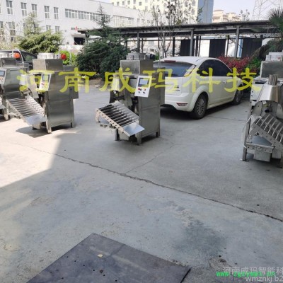 威玛供应 标线涂料气动包装机-成熟稳定 沙子气流包装机-原厂售后 防腐剂气吹包装机-价格表