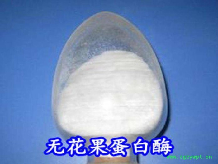 天顺厂家长期供应_食品防腐剂无花果蛋白酶_国标无花果蛋白酶_食品级无花果蛋白酶_价格优惠