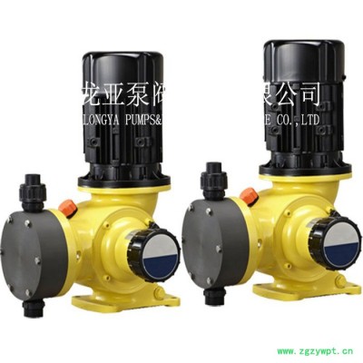 生产500L/h计量泵 加药装置