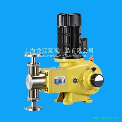 供应联胺除氯成套加药装置 加药系统 加药泵