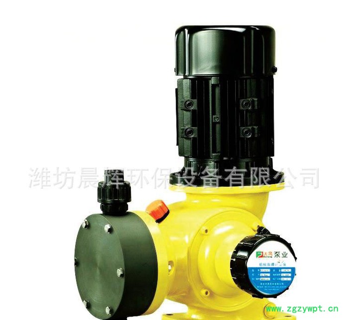 CH晨辉 CHZJY 型全自动加药装置-计量泵  晨辉环保