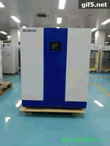 BIOBASE博科电热恒温培养箱医用实验室细菌培养干燥箱育种发酵高温烘干机 BIOBASE博科电热恒温培养箱医用实验室细菌培养干燥箱育种发酵高温烘干机