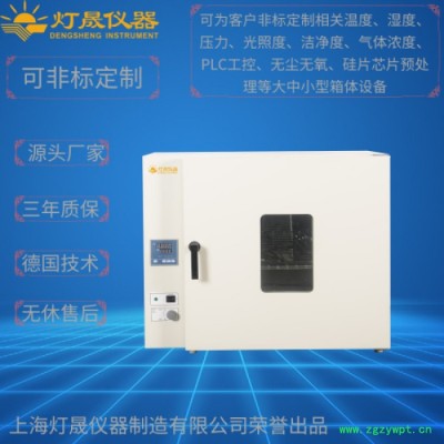 精密烘箱  DS-30B  定制定做非标类大型工业烘箱干燥箱烤箱