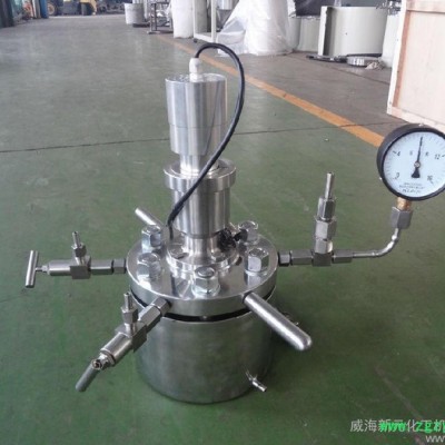 供应北京 新元 微型反应器 微型反应釜 反应釜XYHJ-914
