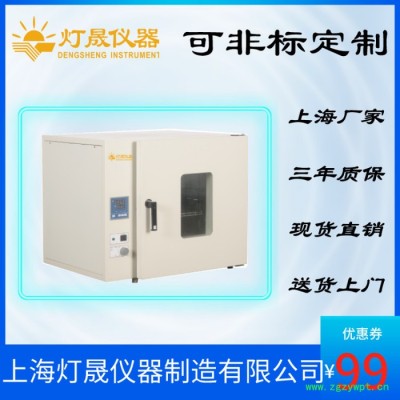 精密烘箱 DS-70B 上海厂家现货直销 可非标定制定做大型烘箱  干燥箱 工业烤箱