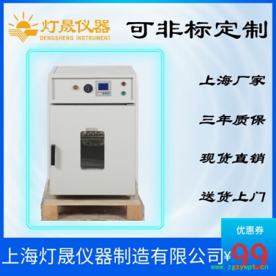 精密烘箱 DS-70LB  上海厂家 现货直销 非标定制大型烘箱 干燥箱 高温干燥箱