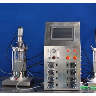 百仑玻璃发酵罐BLBIO-XGC/BLBIO-XGJ反应器