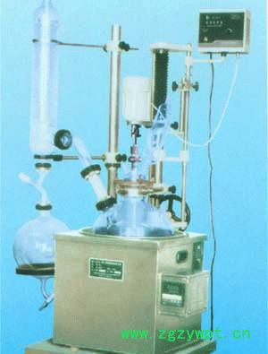 BC-S212-180WW,两用玻璃反应器,直销,**价惠