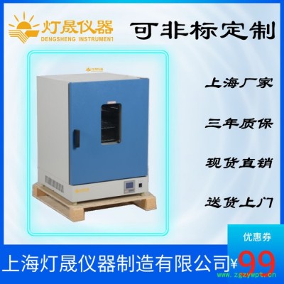 热风烘箱DS-640HL上海厂家现货直销 非标定制定做 可定制热风循环烘箱 高温烤箱