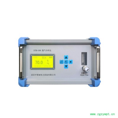 中智诚 氢气分析仪氢气含量分析仪气体分析仪厂家