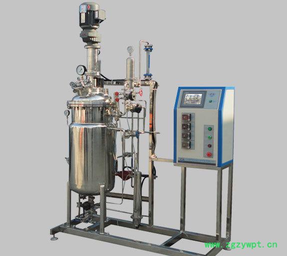 江苏绿扬KRH-APJ 100L机械搅拌不锈钢发酵罐