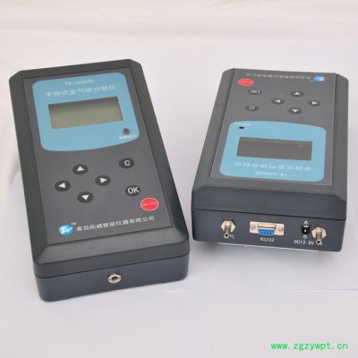 拓威TW-4200 手持式气体分析仪 应急监测 欢迎咨询