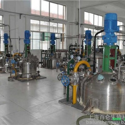 大中生产型发酵罐