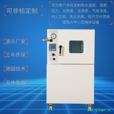 灯晟仪器DZF-6250N 充氮真空干燥箱（自动控制充氮） 非标定制全自动真空干燥箱 真空充氮烘箱 真空干燥设备上海厂家