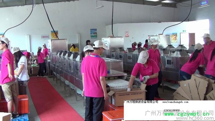 微波食品干燥灭菌设备