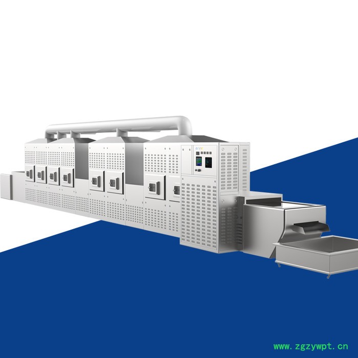 山东瑞晨厂家供应  椰蓉微波灭菌设备