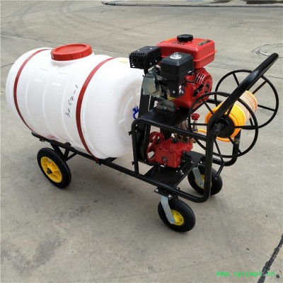 葡萄园灭虫打药机 多功能农药机械喷洒机 手推式带轮杀毒灭菌设备