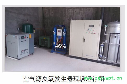 天蓝臭氧厂家生产 有机废气  臭氧发生设备，泳池水臭氧设备，水处理灭菌设备，TS-100A，  负责指导安装