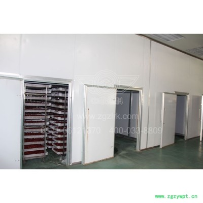 中联热科ZLCT-C 系列热风循环烘箱 金银花烘干箱 箱式烘干机