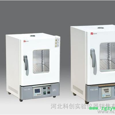 天津泰斯特WHLL-125BE电热恒温干燥箱烘箱