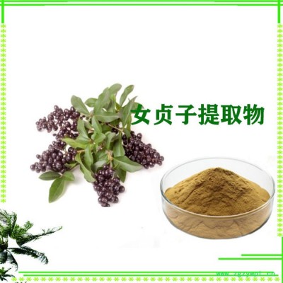 女贞子提取物  10:1  女贞子粉 齐墩果酸 现货供应