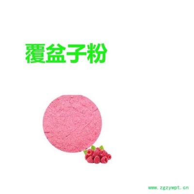 甘肃斯诺特 覆盆子粉   量大从优  覆盆子生粉
