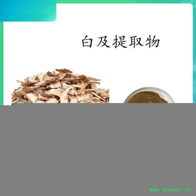 扶风斯诺特  女贞子提取物 女贞子浓缩粉  可定制