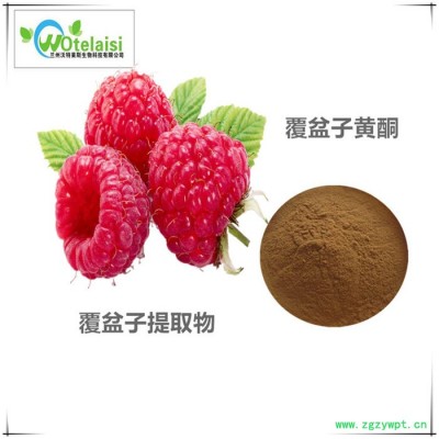 覆盆子提取物10:1 覆盆子黄酮 覆盆子速溶粉 覆盆子粉