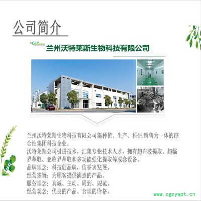 沃特莱斯 车前子提取物10：1 车前子粉 车前子浸膏 车前子速溶粉