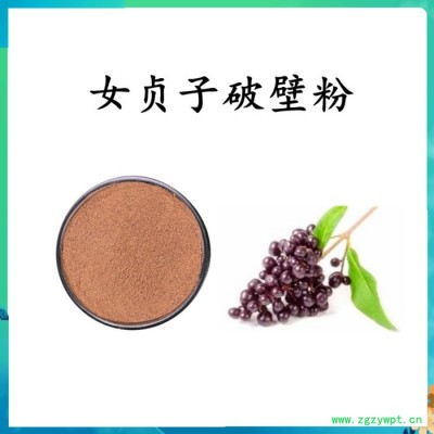 扶风斯诺特  女贞子破壁粉 女贞子浓缩粉  水溶  可定制