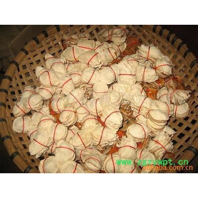 供应地宝中药材炮制供应 陈皮|陈产地|陈皮大货供应