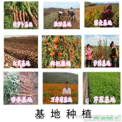 无患子皂甙  40%  80% 无患子提取物 无患子粉