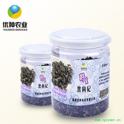 优种农业现货批发礼品定制甘肃特产黑枸杞子 黑枸杞批发 **黑枸杞子