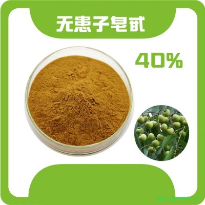 无患子皂甙40% 表面活性剂 无患子提取物粉 无患子浸膏 无患子粉 西安瑞尔丽植提工厂