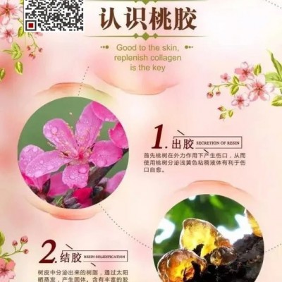 鹰嘴桃胶