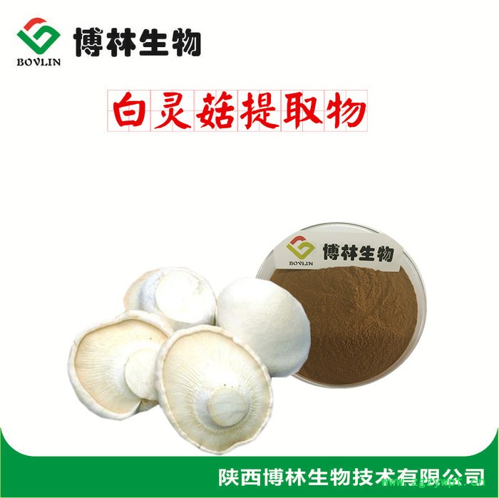 白灵菇提取物10:1 阿魏菇提取物 翅鲍菇提取物 白灵菇纯粉